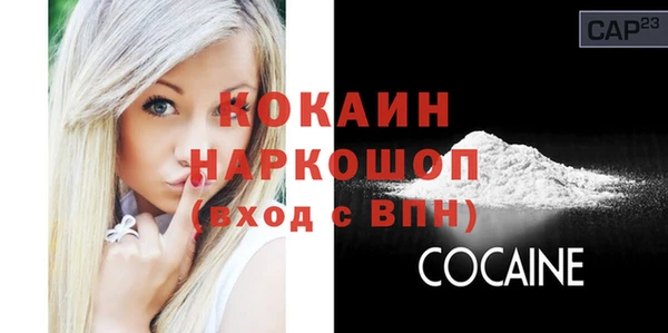 прущие грибы Козельск