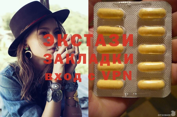 ГАЛЛЮЦИНОГЕННЫЕ ГРИБЫ Козловка