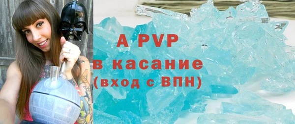 ГАЛЛЮЦИНОГЕННЫЕ ГРИБЫ Козловка