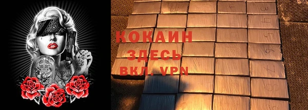 ГАЛЛЮЦИНОГЕННЫЕ ГРИБЫ Козловка