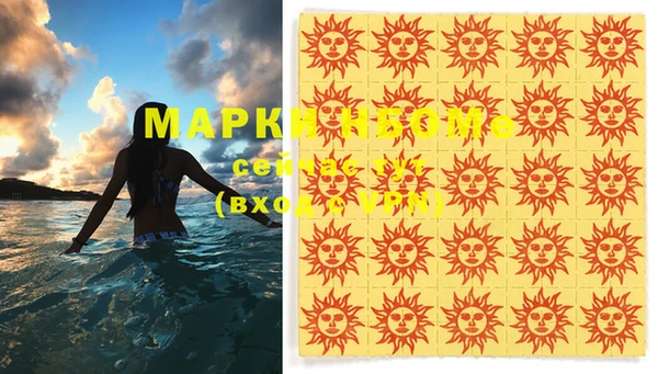 ГАЛЛЮЦИНОГЕННЫЕ ГРИБЫ Козловка
