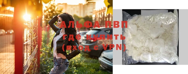 прущие грибы Козельск